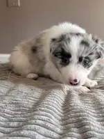 processed/9b153ea8-437b-4e32-85fc-5b5cc18c68d4/listing/121b9f06-f30d-41b8-8386-4c7288a74602/05439c6f-9740-45fc-88e6-9e3049904270