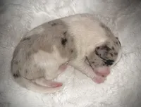 processed/9b153ea8-437b-4e32-85fc-5b5cc18c68d4/listing/121b9f06-f30d-41b8-8386-4c7288a74602/443c16db-6325-417c-bb7e-6ffcd30f80a3