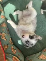 processed/9b153ea8-437b-4e32-85fc-5b5cc18c68d4/listing/121b9f06-f30d-41b8-8386-4c7288a74602/96426620-bbd4-4916-863d-7f90b7ab8ba9