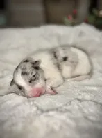 processed/9b153ea8-437b-4e32-85fc-5b5cc18c68d4/listing/121b9f06-f30d-41b8-8386-4c7288a74602/98a6776e-29fa-4bc2-b11a-dd8d1bc4453c