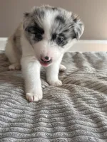 processed/9b153ea8-437b-4e32-85fc-5b5cc18c68d4/listing/121b9f06-f30d-41b8-8386-4c7288a74602/a667a074-7e28-4ca4-b0e0-93fda298c0aa