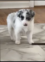 processed/9b153ea8-437b-4e32-85fc-5b5cc18c68d4/listing/121b9f06-f30d-41b8-8386-4c7288a74602/a6767c6e-8abe-47fc-8fc7-794adf4a6ce4