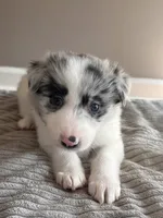 processed/9b153ea8-437b-4e32-85fc-5b5cc18c68d4/listing/121b9f06-f30d-41b8-8386-4c7288a74602/da1ebde0-b5f0-4545-8b85-48cf0f1e81c1