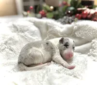 processed/9b153ea8-437b-4e32-85fc-5b5cc18c68d4/listing/121b9f06-f30d-41b8-8386-4c7288a74602/dfbd5d17-29ae-4b76-a815-b0f63c5078e4