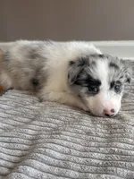 processed/9b153ea8-437b-4e32-85fc-5b5cc18c68d4/listing/121b9f06-f30d-41b8-8386-4c7288a74602/f662f4e3-aec4-4197-ac6b-9aaf95f409c8