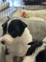 processed/9b153ea8-437b-4e32-85fc-5b5cc18c68d4/listing/d4903008-eddf-4555-aaca-5f50b2fdc26a/0f893da7-0cbd-4679-b774-26667e792f1a