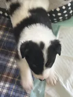 processed/9b153ea8-437b-4e32-85fc-5b5cc18c68d4/listing/d4903008-eddf-4555-aaca-5f50b2fdc26a/606b5eef-ad73-4138-b8ff-38990126b8d0