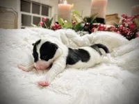 processed/9b153ea8-437b-4e32-85fc-5b5cc18c68d4/listing/d4903008-eddf-4555-aaca-5f50b2fdc26a/8527b5e9-f65a-4857-bc20-ad4c617f386f