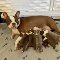 processed/9b18a1c7-110a-4dda-be85-938c384c489b/facility/223397ba-b0b5-4d73-8c32-aad6d1c5a461