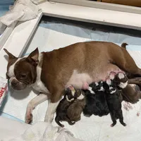 processed/9b18a1c7-110a-4dda-be85-938c384c489b/facility/59d7f2b9-5a56-4f18-9a25-ccd477c68a4b