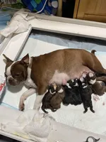 processed/9b18a1c7-110a-4dda-be85-938c384c489b/facility/59d7f2b9-5a56-4f18-9a25-ccd477c68a4b