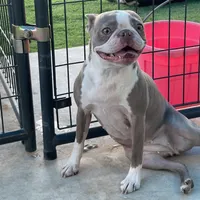 processed/9b18a1c7-110a-4dda-be85-938c384c489b/facility/8266aabc-4437-4bf5-9a3b-2ab85952a686