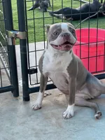 processed/9b18a1c7-110a-4dda-be85-938c384c489b/facility/8266aabc-4437-4bf5-9a3b-2ab85952a686