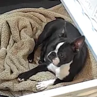 processed/9b18a1c7-110a-4dda-be85-938c384c489b/facility/97520235-95e3-4a05-8b7c-84491ed8f6bd