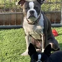 processed/9b18a1c7-110a-4dda-be85-938c384c489b/facility/988c1801-2d10-422c-8c89-c193dc621a1a