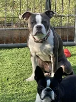 processed/9b18a1c7-110a-4dda-be85-938c384c489b/facility/988c1801-2d10-422c-8c89-c193dc621a1a