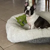 processed/9b18a1c7-110a-4dda-be85-938c384c489b/facility/c22d724e-2131-4f36-86d1-f4cd32a15569