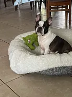 processed/9b18a1c7-110a-4dda-be85-938c384c489b/facility/c22d724e-2131-4f36-86d1-f4cd32a15569