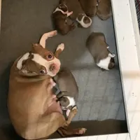 processed/9b18a1c7-110a-4dda-be85-938c384c489b/facility/c41a41ab-6dd5-41ce-98bc-da37b3034ebf