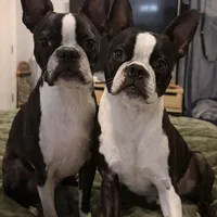 processed/9b18a1c7-110a-4dda-be85-938c384c489b/facility/d6c0b540-5e4e-4fb0-b99c-38247c9ca90d