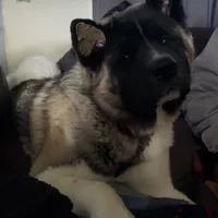 processed/9b1ae1c0-6259-4772-bd31-c7e72ea057cb/facility/3ce13763-4b87-4a0a-b5f0-c06c37b6f023