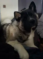 processed/9b1ae1c0-6259-4772-bd31-c7e72ea057cb/facility/3ce13763-4b87-4a0a-b5f0-c06c37b6f023