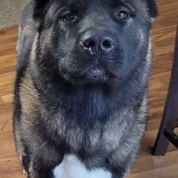 processed/9b1ae1c0-6259-4772-bd31-c7e72ea057cb/facility/5674eee3-e6b1-4f2f-b316-f0a01e64fd7e