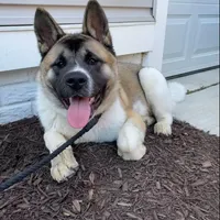 processed/9b1ae1c0-6259-4772-bd31-c7e72ea057cb/facility/6b77ec4f-d095-4c8a-af22-ce1e09956806