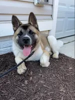 processed/9b1ae1c0-6259-4772-bd31-c7e72ea057cb/facility/6b77ec4f-d095-4c8a-af22-ce1e09956806