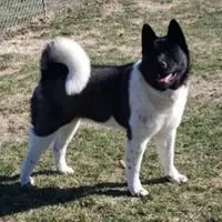 processed/9b1ae1c0-6259-4772-bd31-c7e72ea057cb/facility/85e47cad-8bfd-4b3f-be23-3321776486c7