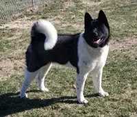 processed/9b1ae1c0-6259-4772-bd31-c7e72ea057cb/facility/85e47cad-8bfd-4b3f-be23-3321776486c7