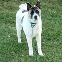 processed/9b1ae1c0-6259-4772-bd31-c7e72ea057cb/facility/c2187585-900f-41f9-b4f3-0bf893bc424c