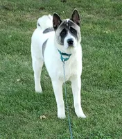 processed/9b1ae1c0-6259-4772-bd31-c7e72ea057cb/facility/c2187585-900f-41f9-b4f3-0bf893bc424c