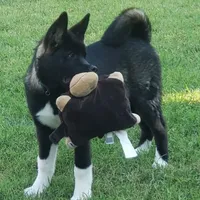 processed/9b1ae1c0-6259-4772-bd31-c7e72ea057cb/facility/d5197dad-bf5d-4acc-9983-8c8af8a67367