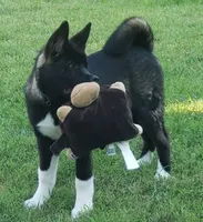 processed/9b1ae1c0-6259-4772-bd31-c7e72ea057cb/facility/d5197dad-bf5d-4acc-9983-8c8af8a67367