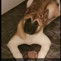 processed/9b1ae1c0-6259-4772-bd31-c7e72ea057cb/facility/d7b6a43a-3bf7-4eed-be69-0d3acc5aa793