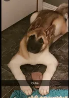 processed/9b1ae1c0-6259-4772-bd31-c7e72ea057cb/facility/d7b6a43a-3bf7-4eed-be69-0d3acc5aa793