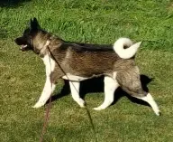 processed/9b1ae1c0-6259-4772-bd31-c7e72ea057cb/facility/dc05591c-6bfc-49f9-911b-f42cf5d3a552