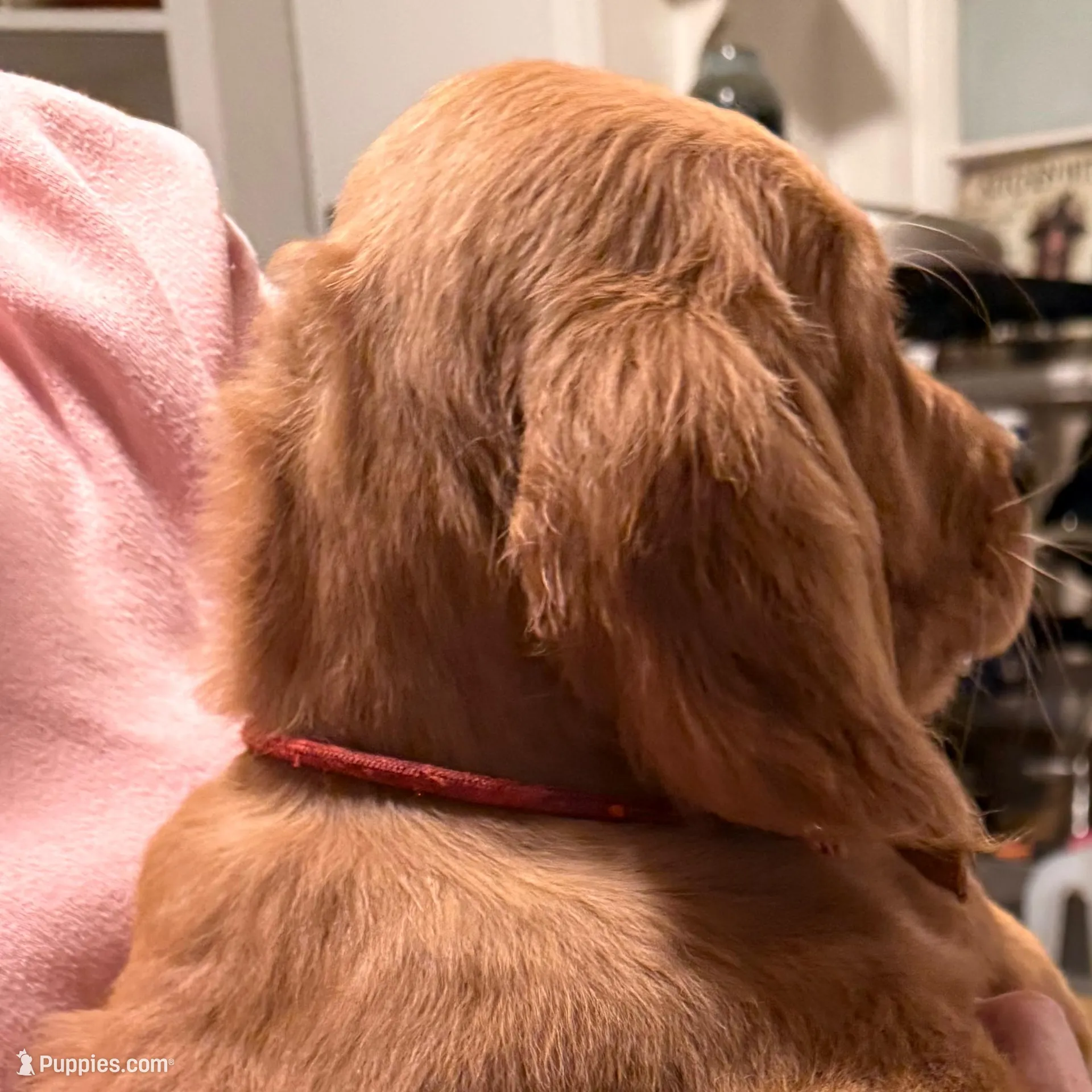 Nickname Mac the Knife , or Mohawk Mac