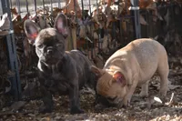 processed/9b1cb208-d9e6-4ed7-83e1-1b2d6bb64eca/listing/50b4d7c0-3912-4fab-a93b-f5d5df5d0cc2/aba397b6-5b14-46d6-ba31-e7cefde5c714