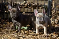 processed/9b1cb208-d9e6-4ed7-83e1-1b2d6bb64eca/listing/50b4d7c0-3912-4fab-a93b-f5d5df5d0cc2/b71b1d1d-92e5-415a-9179-2e025022aaab