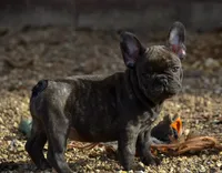 processed/9b1cb208-d9e6-4ed7-83e1-1b2d6bb64eca/listing/50b4d7c0-3912-4fab-a93b-f5d5df5d0cc2/f14e1f18-861a-42c9-a361-1efc6839ac42