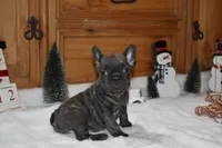 processed/9b1cb208-d9e6-4ed7-83e1-1b2d6bb64eca/listing/50b4d7c0-3912-4fab-a93b-f5d5df5d0cc2/fdc076a9-d9b2-4501-ad30-f1c8fc6d3b8b