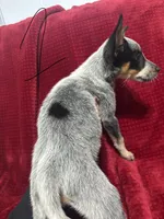 processed/9b1fd61f-8c2d-4b17-9d0a-f178cdce418d/listing/17ab786f-0ba9-46ee-b842-fa1ca5825807/9b49b6c0-5c96-4728-ac3a-4e94daa1a784