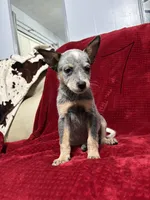 processed/9b1fd61f-8c2d-4b17-9d0a-f178cdce418d/listing/1d429dce-5a2e-45e1-846c-4a32317aa238/fa12910b-5d83-434e-99fe-7210807520b9