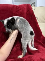 processed/9b1fd61f-8c2d-4b17-9d0a-f178cdce418d/listing/2c975a71-4222-4f9f-a10d-2f497b2c64d7/6b0f0750-c94e-45db-9517-2b7385c0853f