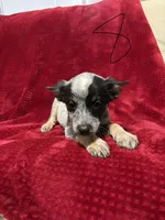 processed/9b1fd61f-8c2d-4b17-9d0a-f178cdce418d/listing/2c975a71-4222-4f9f-a10d-2f497b2c64d7/9273125b-624c-4701-b8f0-f166e4cd6dbd