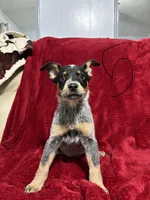 processed/9b1fd61f-8c2d-4b17-9d0a-f178cdce418d/listing/455573eb-ce9f-4a8f-bc2c-142feead05f3/8719543f-dd82-49bd-99a7-81b58e3c13b3