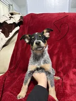 processed/9b1fd61f-8c2d-4b17-9d0a-f178cdce418d/listing/455573eb-ce9f-4a8f-bc2c-142feead05f3/d3ee01a9-60f8-4fc5-bedb-1893b678f237