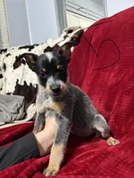 processed/9b1fd61f-8c2d-4b17-9d0a-f178cdce418d/listing/455573eb-ce9f-4a8f-bc2c-142feead05f3/ebed5eea-6b59-4f26-a072-51a21c17790c